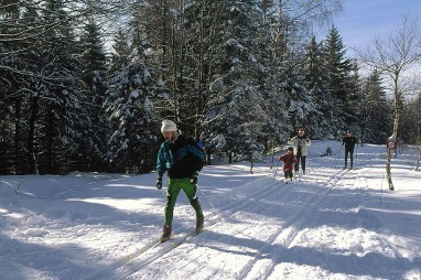 Naturhotel Lindenhof Holzhau: Loisirs