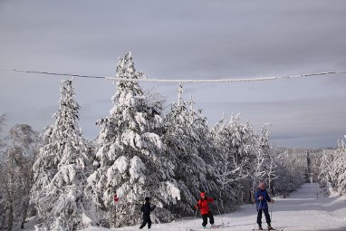 Naturhotel Lindenhof Holzhau: Loisirs