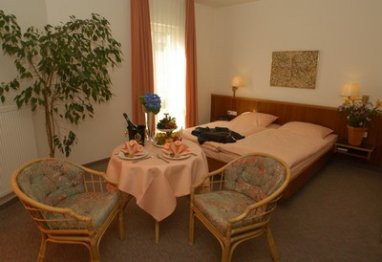 Hotel Dorotheenhof Cottbus: Kamer