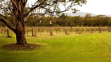 Spicers Vineyards Hunter Valley: Außenansicht