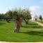 Magli Masseria Resort